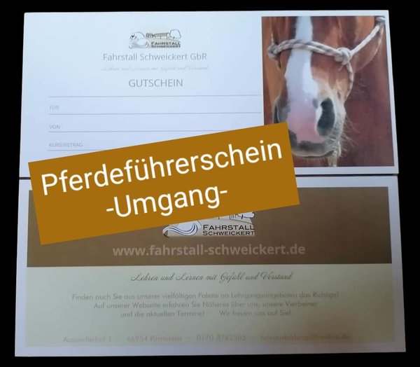 Geschenkgutschein - FN Pferdeführerschein -Umgang-