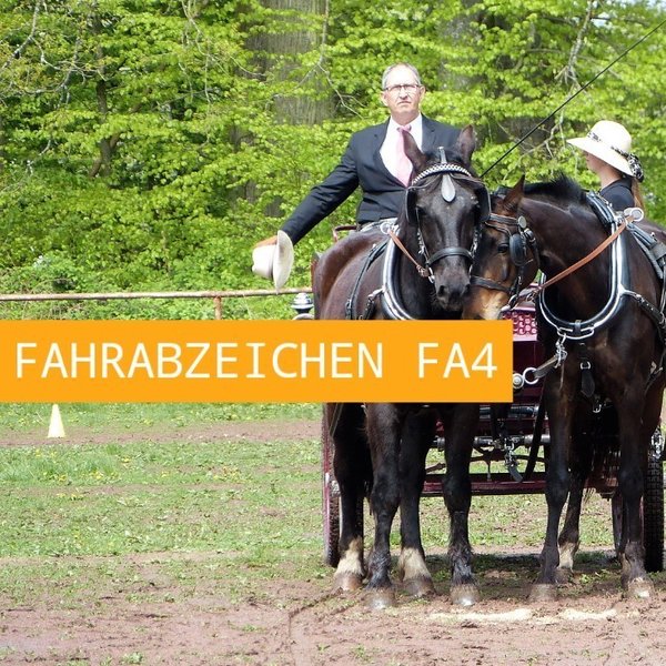 FN Fahrabzeichen FA4