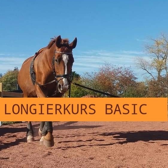 Longierkurs BASIC