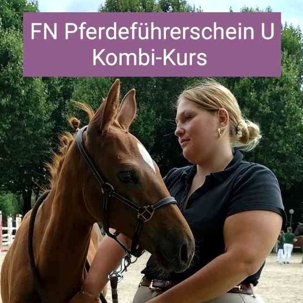 FN Pferdeführerschein in Verbindung mit Fahrkurs